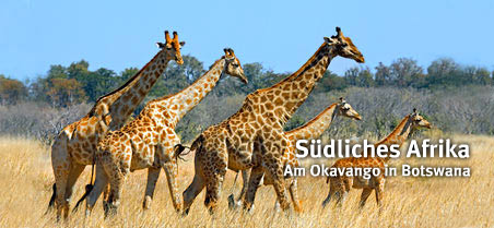 Okavango Botswana  