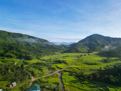 Reisterrassen Südvietnam Reisterrassen-Landschaft im Zentralen Hochland, Südvietnam