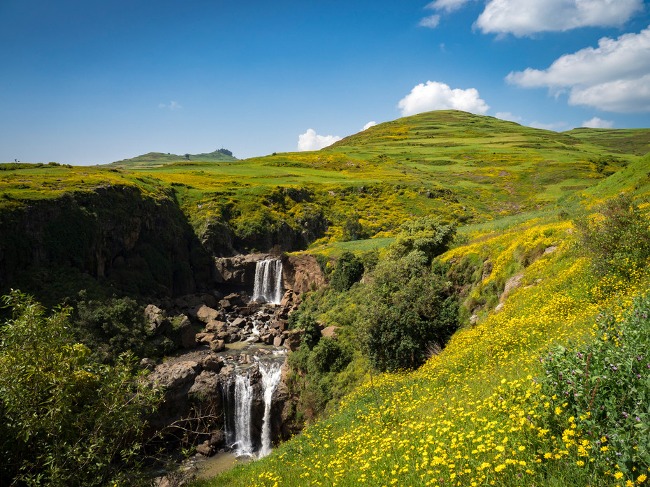 Landschaft mit Wasserfall und Meskel Blumen, Äthiopien