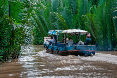 Wasserpalmen Mekongdelta Bootsfahrt durch Wasserpalmen im Mekongdelta