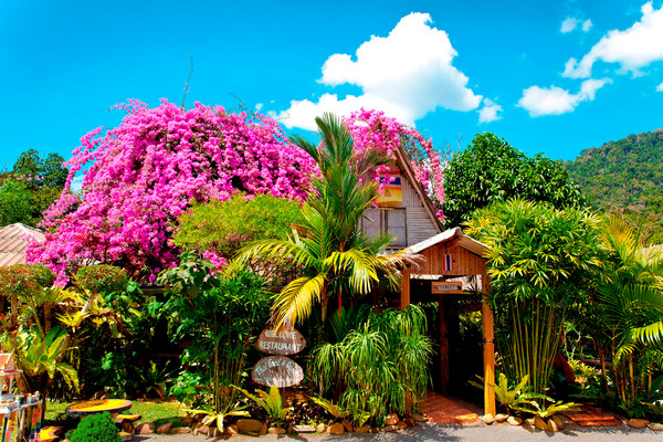 Restaurant in Khao Sok