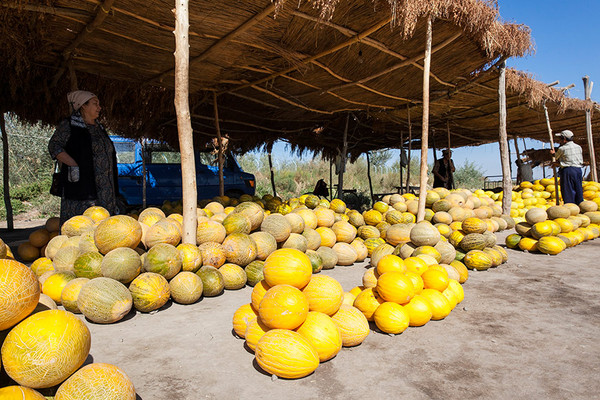 Usbekistan Reise  Usbekische Melonen waren schon im Altertum für ihren köstlichen Geschmack weit bekannt