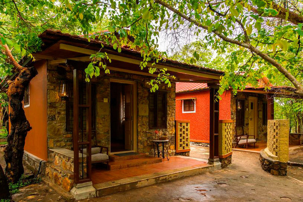 Indien Reise (Südindien)  Unsere Bungalows im Bandipur-Nationalpark